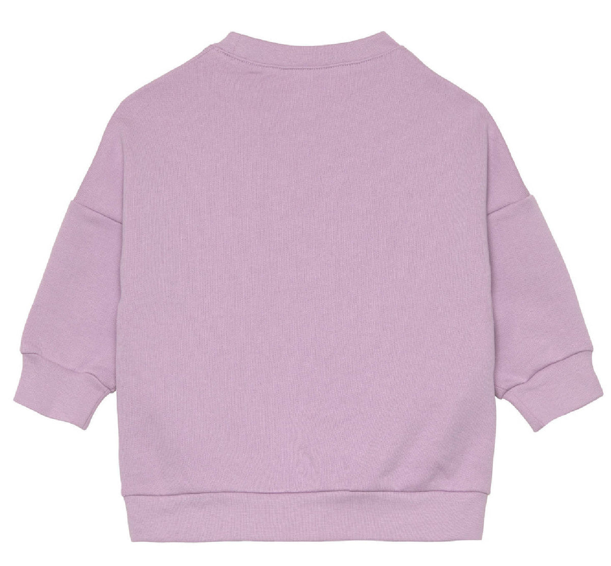 Pullover "Little Gang Regenbogen Lila"