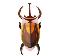 Wanddekoration "Small Insects - Elephant Beetle"